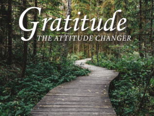 Daily Gratitude